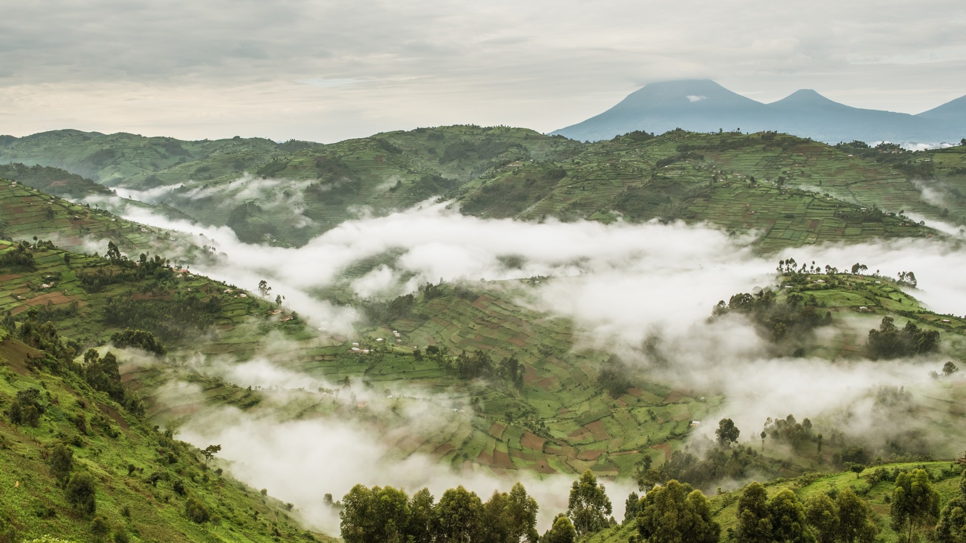 Churchill's Erbe: die grüne Perle Afrikas